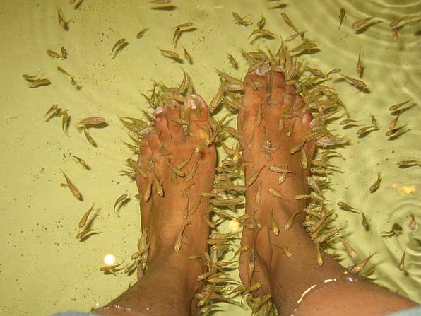 Foot Reflexology at Underwater World Sentosa (Closed)