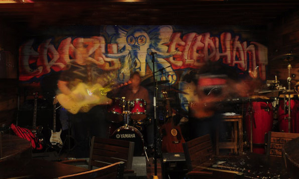 Crazy Elephant Bar