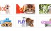 Best-online-pet-shops-singapore