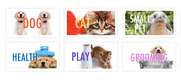 The 5 Best Online Pet Shops in Singapore