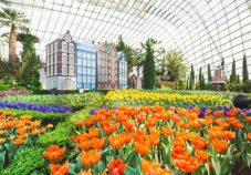 Flower-Dome-singapore