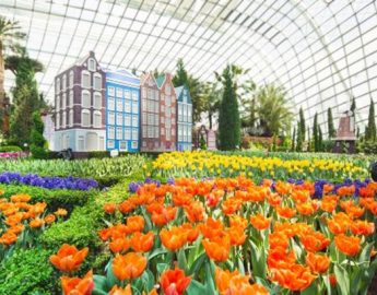 Flower-Dome-singapore