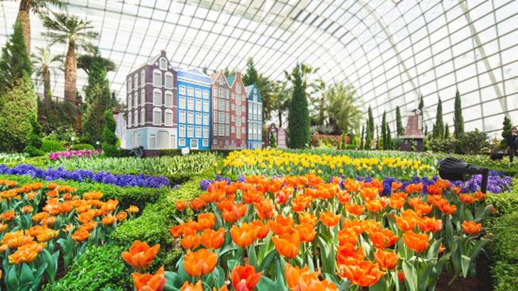 Flower Dome at Gardens By The Bay