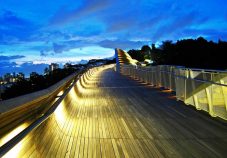 Henderson-Waves-Bridge-singapore