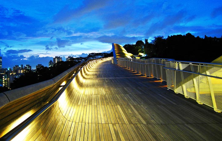 Henderson Waves Bridge