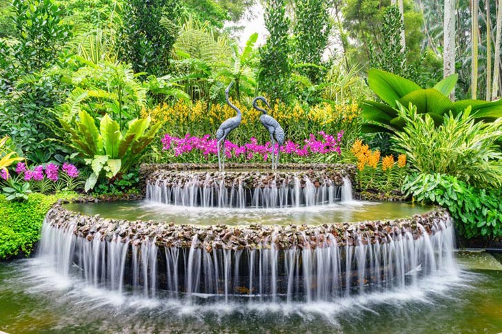 Singapore Botanic Gardens