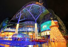 ion-orchards-mall-singapore3