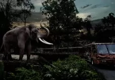 night-safari-singapore