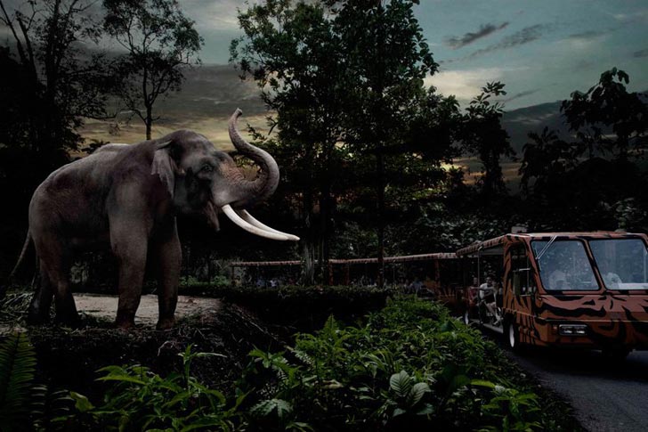 night-safari-singapore