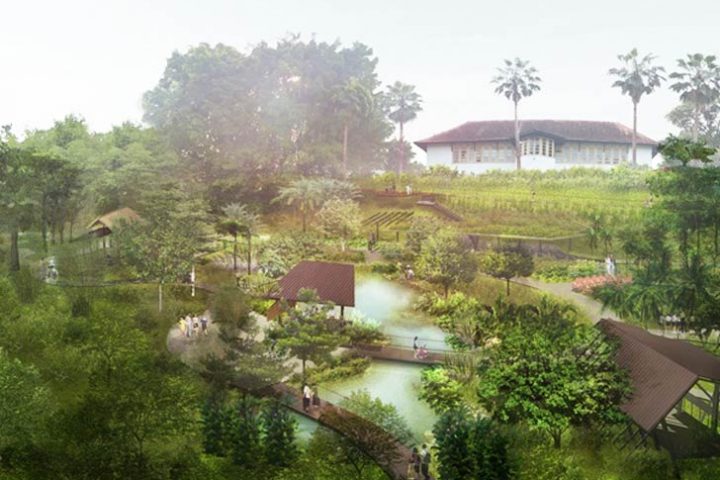 Ethnobotany-Garden-(Artist's-Impression)