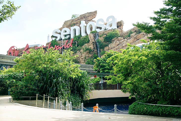 Forested area in Sentosa: Treat for nature lovers