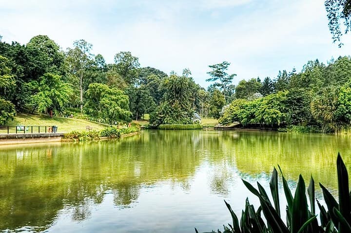 Singapore-Botanical-Gardens