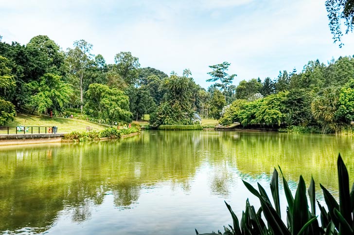 Singapore-Botanical-Gardens