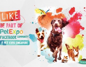 Pet-expo-singapore-2018