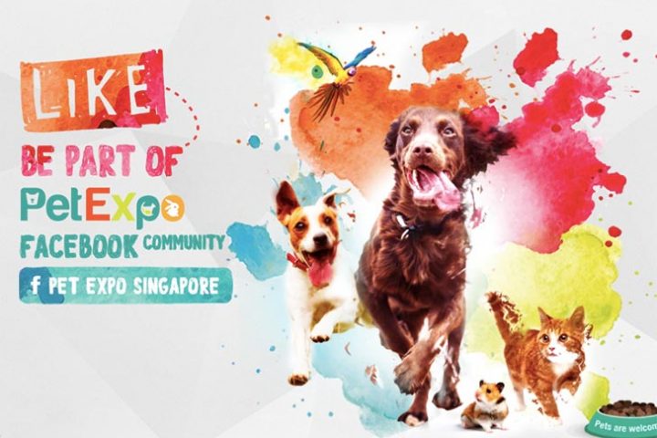 Pet-expo-singapore-2018