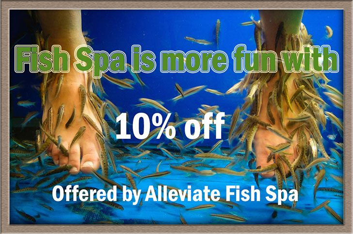 10% Off Fish Spa at Alleviate Fish Spa