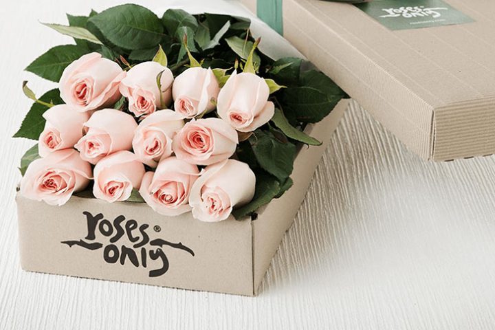roses-only-12-stems