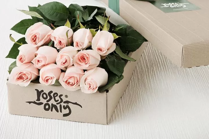 roses-only-12-stems