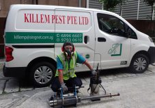 Killem Pest pest control singapore