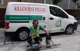 Killem Pest pest control singapore