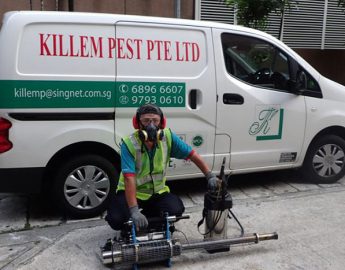 Killem Pest pest control singapore