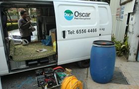 Oscar-Pest-Management-pest-control-singapore