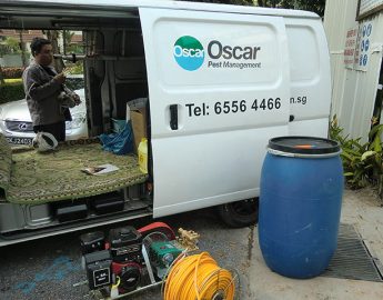 Oscar-Pest-Management-pest-control-singapore