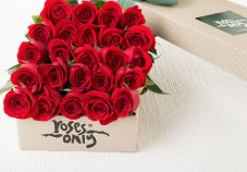 roses valentine day 2019