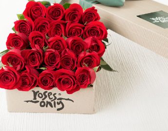 roses valentine day 2019