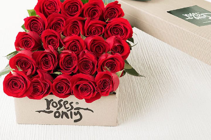 roses valentine day 2019