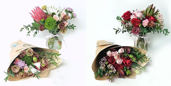 The Enchanted Tree SG