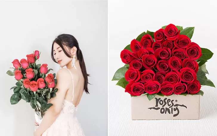 Roses Only: The best roses for any occasion