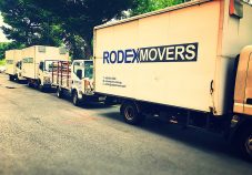 Rodex Movers Review