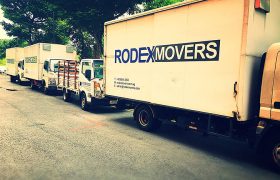 Rodex Movers Review