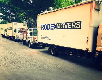 Rodex Movers Review