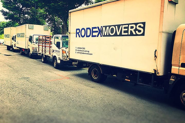 Rodex Movers Review