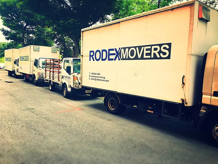 Rodex Movers