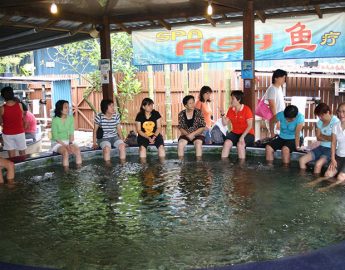 Qian Hu Fish Spa Singapore