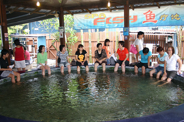 Qian Hu Fish Spa