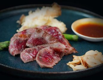 Sen of Japan Restaurant Review