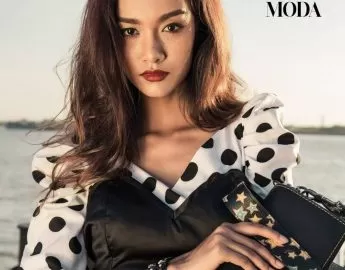 Basic Models Management