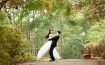 Best Wedding Videographers in Singapore