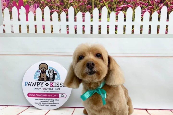 Pawpy Kisses