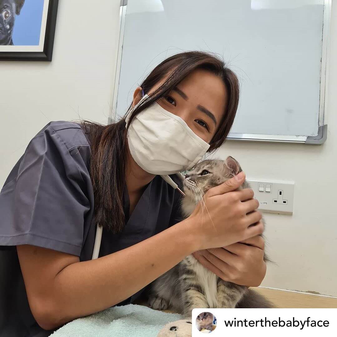 Advanced Vetcare Clinic Review [2022] | The Best Singapore