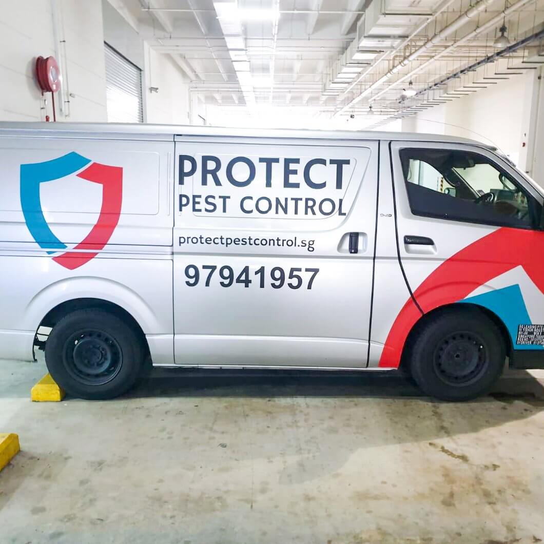 Protect Pest Control