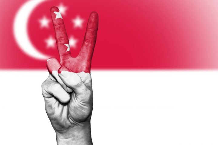 5 Best Immigration Agencies in Singapore