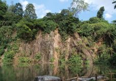 Bukit Batok Nature Park