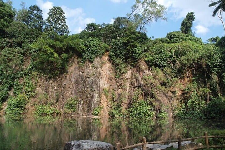 Bukit Batok Nature Park