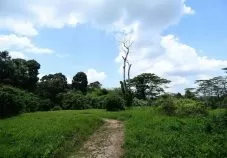 Chestnut Nature Park