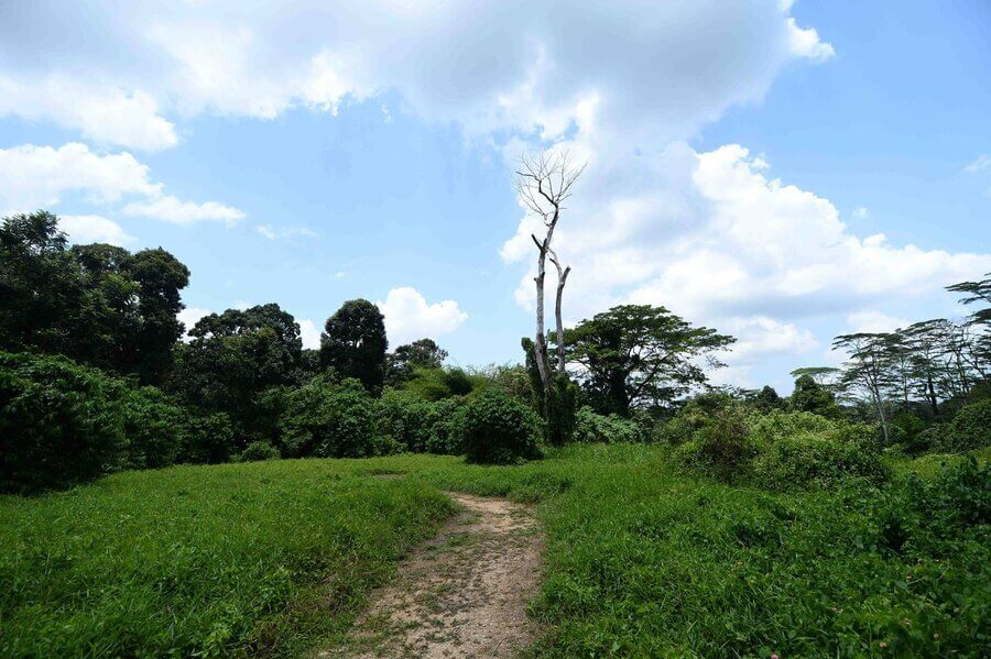 Chestnut Nature Park